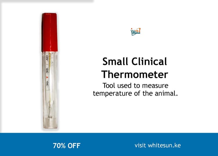 small-clinical-thermometer