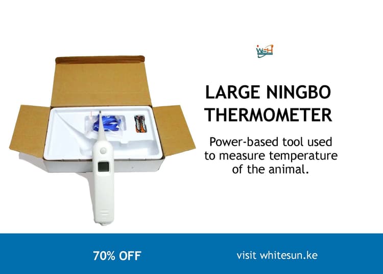 large-ningbo-thermometer